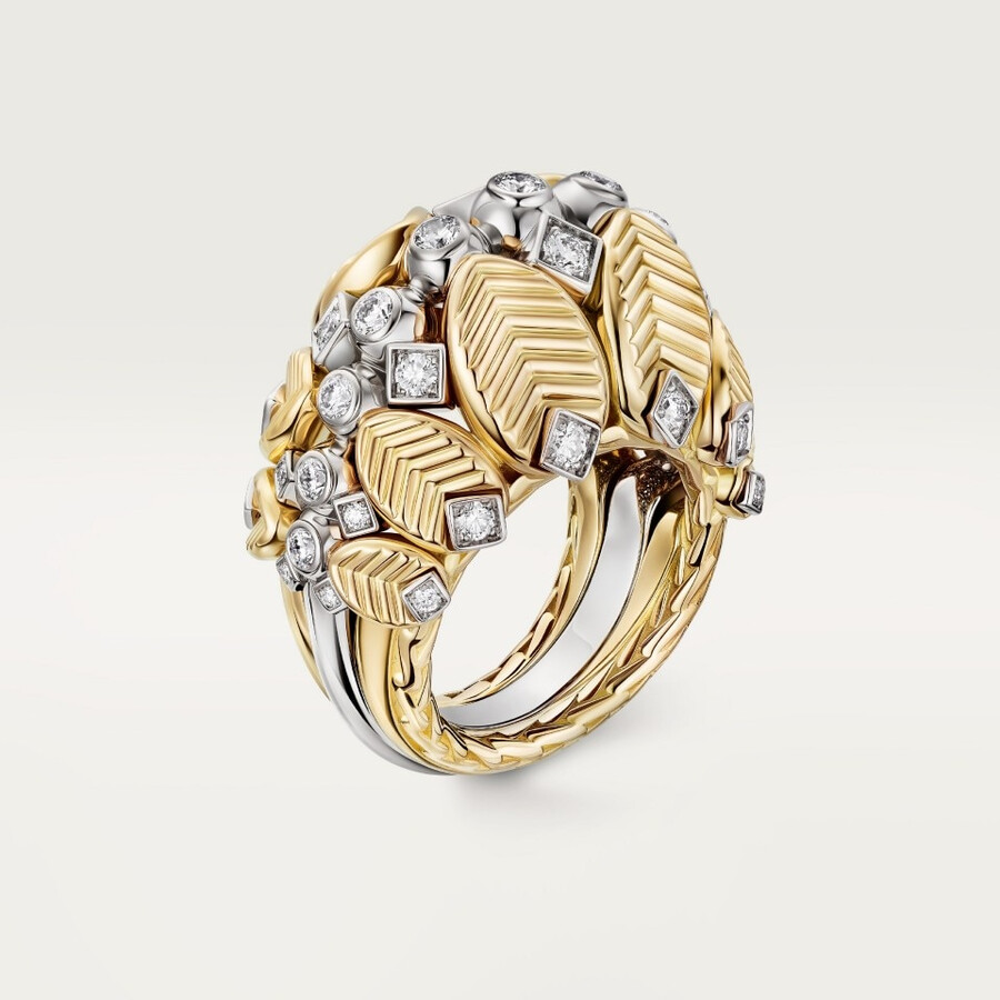 anello di chicchi di caffè