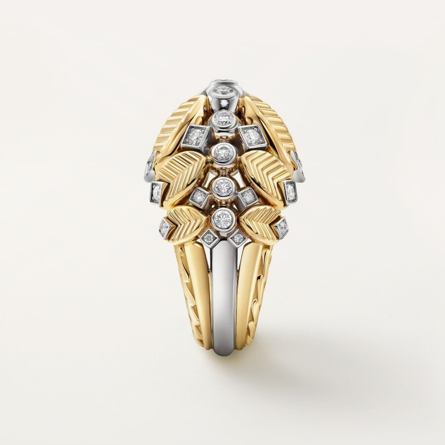 anello di chicchi di caffè