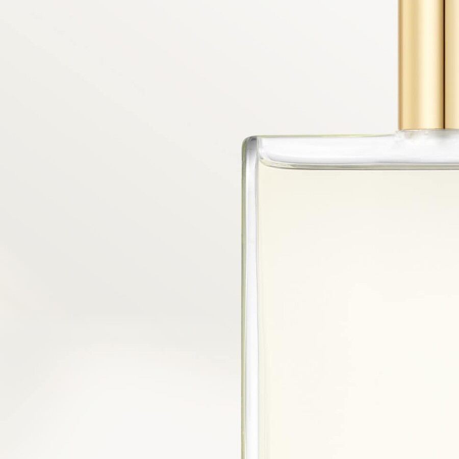 kit di ricarica per profumo cartier pasha black edition