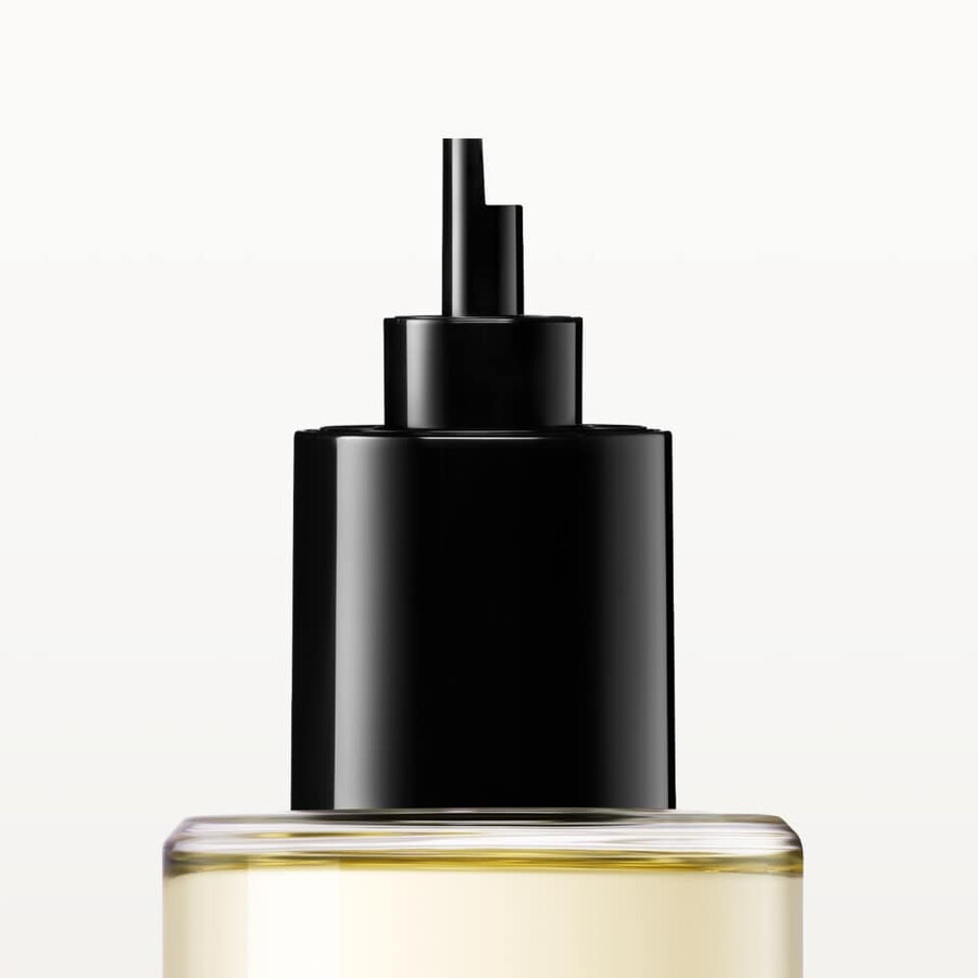 ricarica pasha de cartier noir absolu