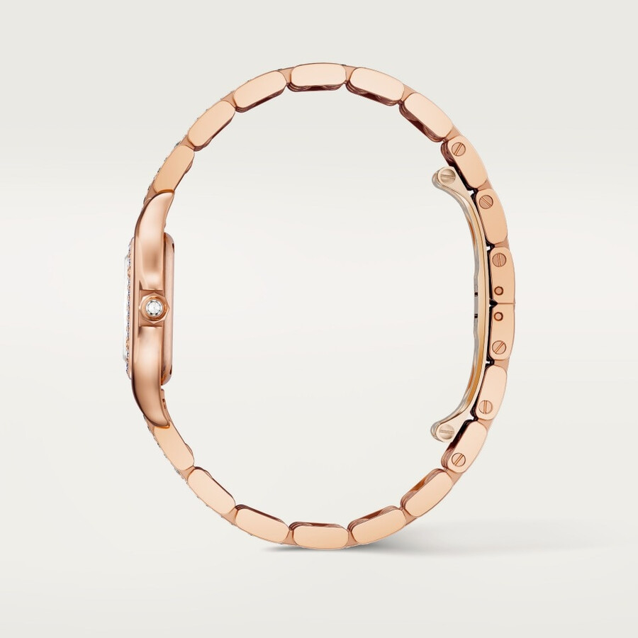 orologio panthère de cartier